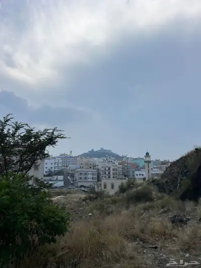 ارض للبيع موقع حيوي ومطل ومميز 4