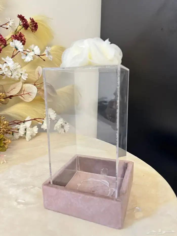 عربية شبكة 3