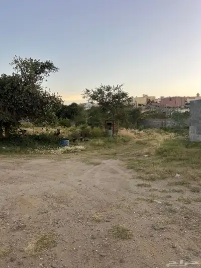 مزرعه للبيع مفرق المعتق في ابها 3