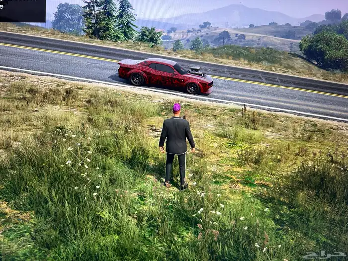 حساب قراند مهكر ريد ديد ريدمبشن 2 pc 0
