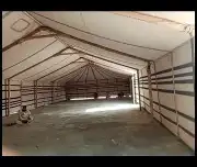 الرياض 5