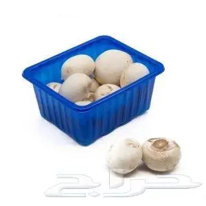 شركة نهر الامداد لتوريد الفواكة والخضروات بجدة 23