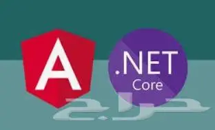 مبرمج مواقع asp.net and angular 0