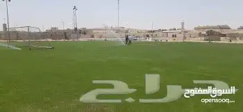 تنسيق حدايق 0