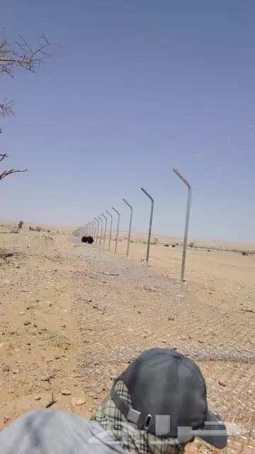 شبوك مزارع 1