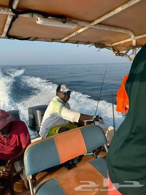 مرس الفناتير الجنوبي 24