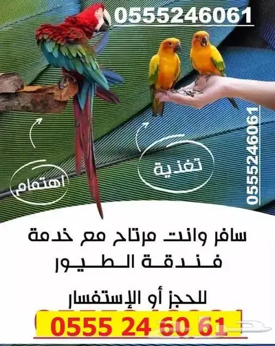 فندقة قطط وطيور 6061 24 0555 وقت انشغالكم وسفركم 2