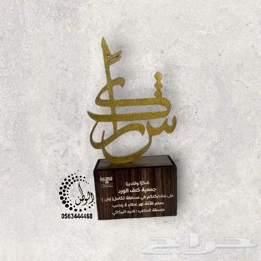 دروع قص وحفر ليزر 41