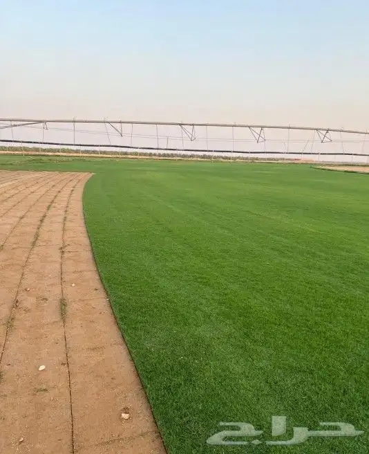 تنسيق حدائق 9