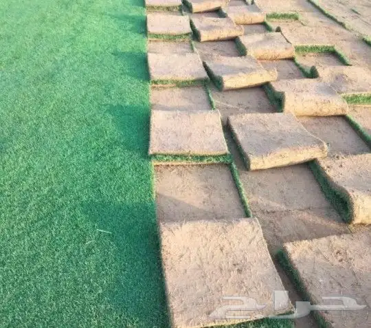 تنسيق حدائق 8