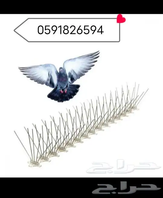 طارد الط ور 0