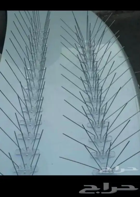 طارد الط ور 4