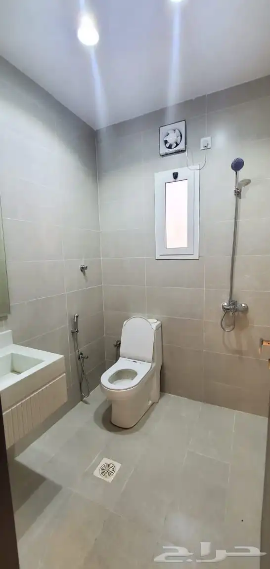 دور وملحق السعيد ج 19