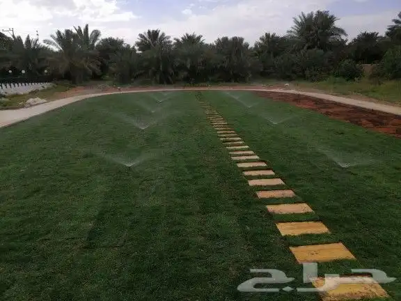 تنسيق حدايق 1