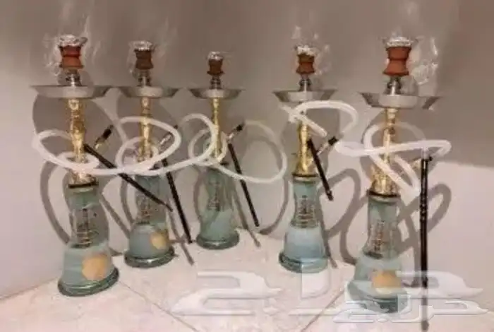 تأجير شيش داخل الرياض 2