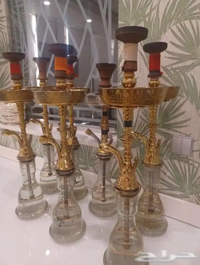 تأجير شيش داخل الرياض 0