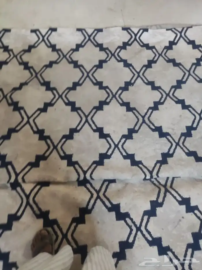 فرشه مع الباد 0