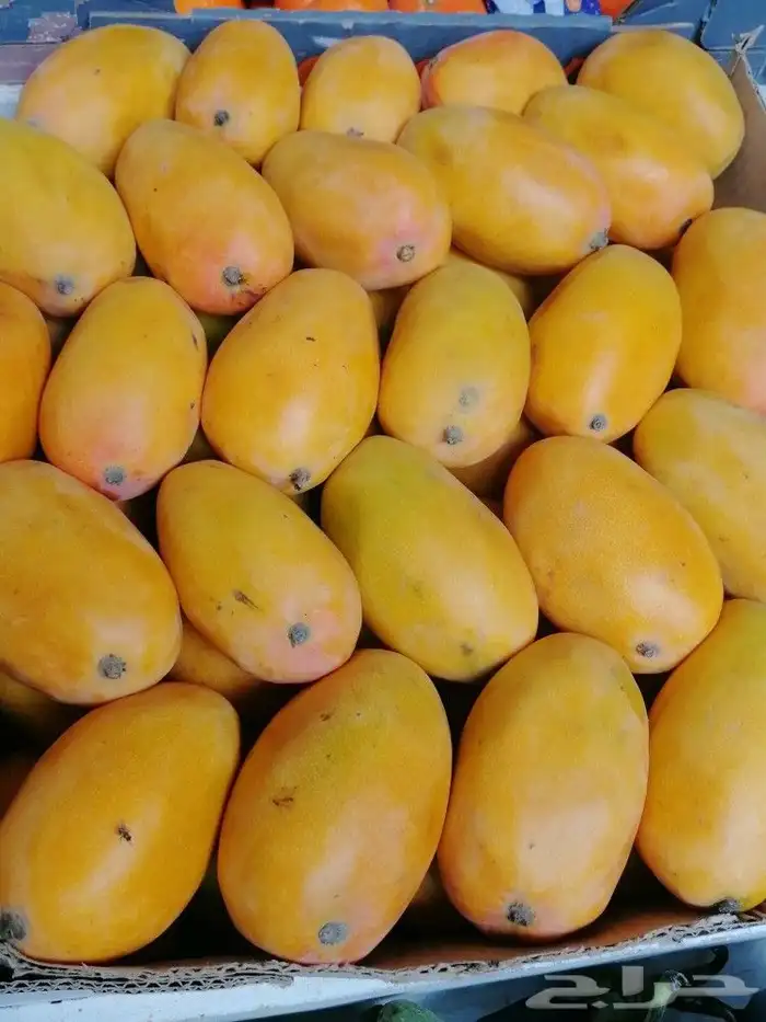 معلم خضروات و فواكة 7