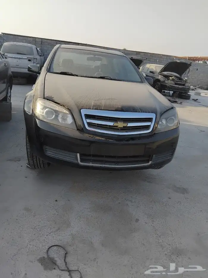 كابرس 2011 2