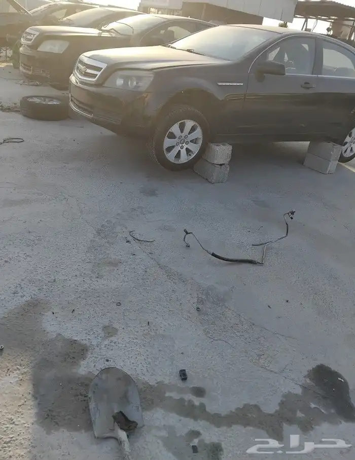 كابرس 2011 0