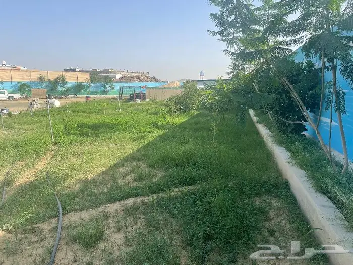 قصر مصغر فاخر مع مزرعة للبيع أو البدل خميس مشيط 6