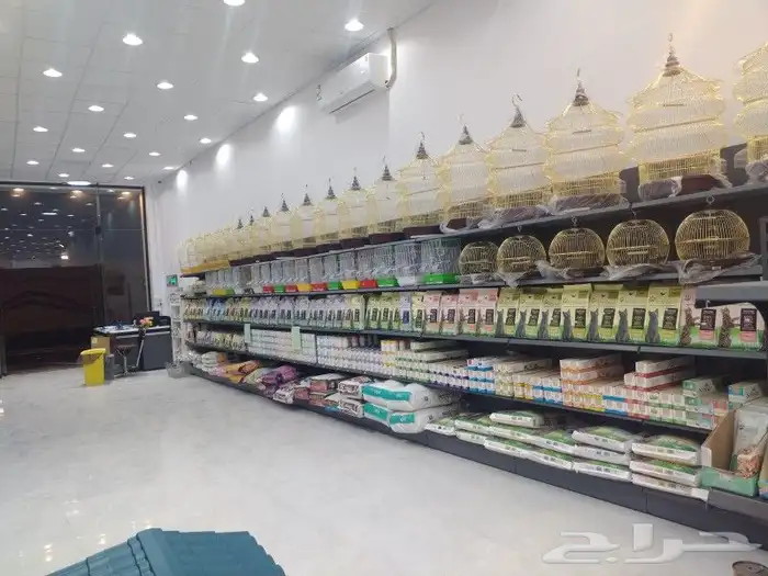 بيع مستلزمات طيور وقطط والعناية بها 43