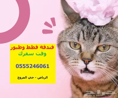 فندقة قطط وطيور 6061 24 0555 وقت انشغالكم وسفركم 0