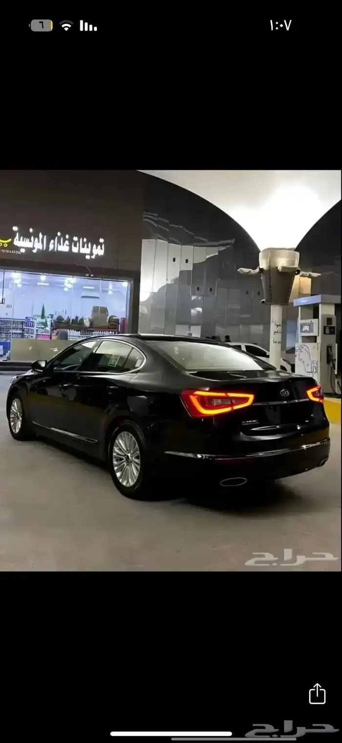 كادينرا 2014 1