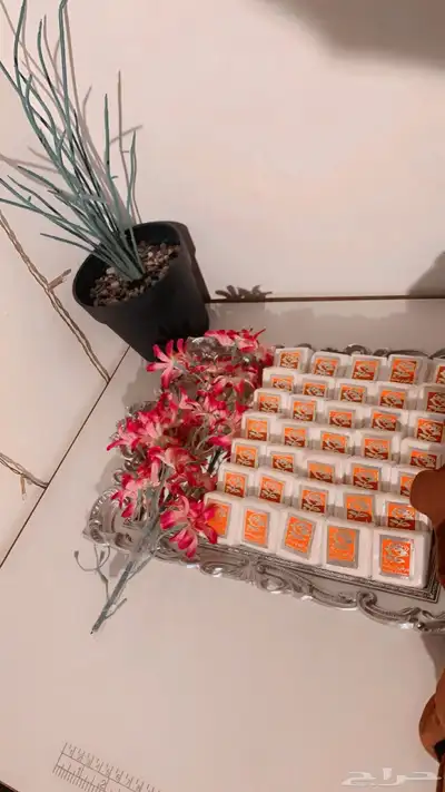 مسك 2