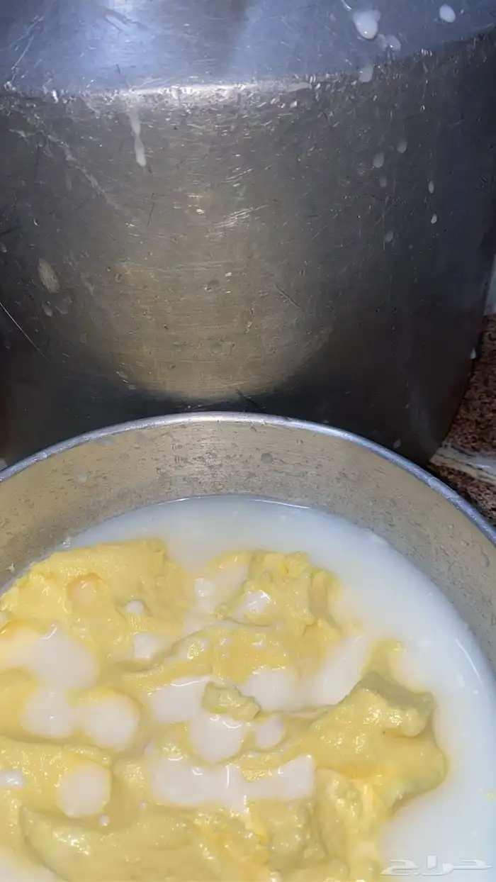 حوامض بقر وسمن بقر بلدي طازج ورضيفه بقر 4