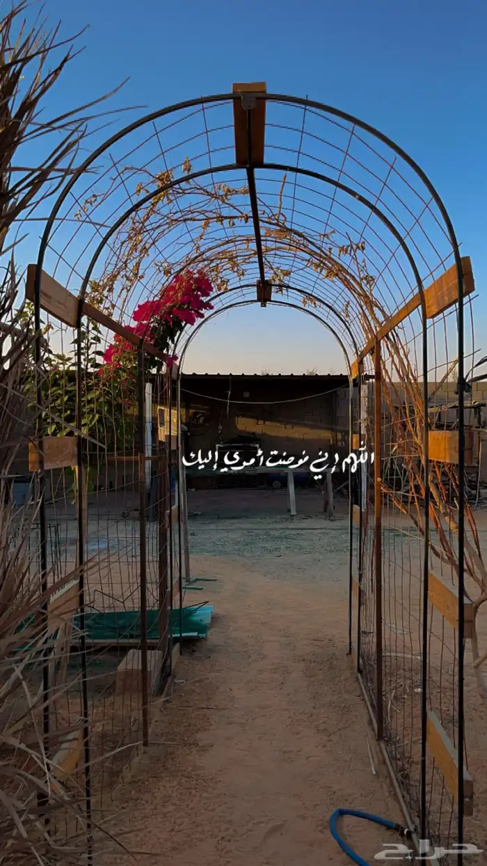 تفصيل مداخل للاشجار اسعار منافسه 10