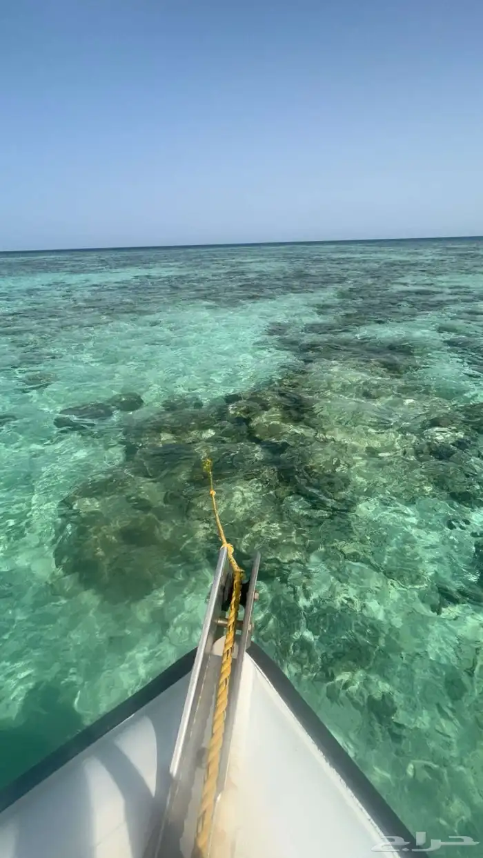 قارب للايجار 3