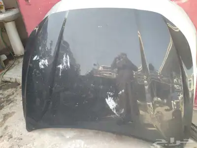 كبوت ازيرا2018  2020 1