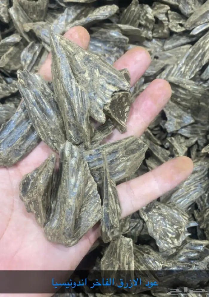 كلمنتان ازرق 0
