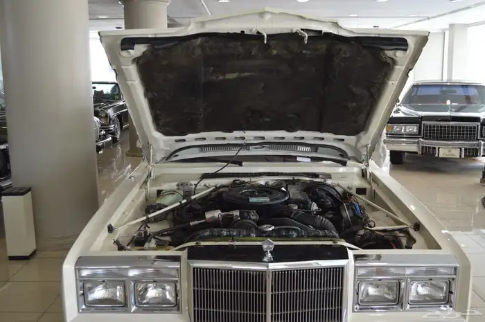 كرايسلر فيفث افنيو Chrysler Fifth Avenue 1984 22