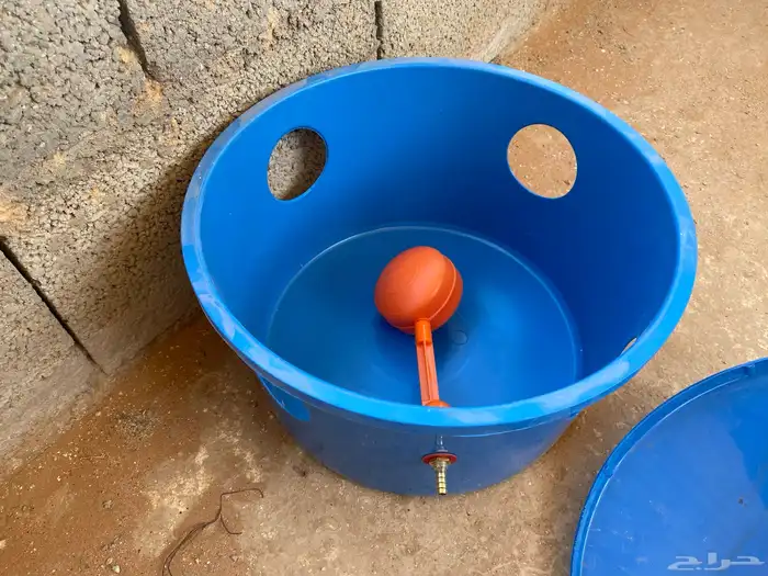 مستلزمات طيور 0
