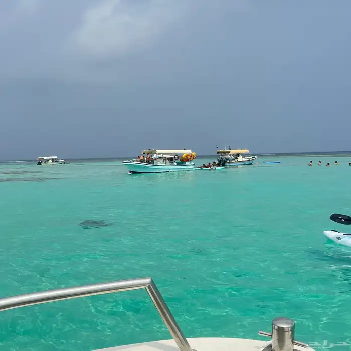 قارب للايجار 0