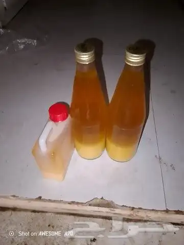 سمن ام خلف مستحيل يختلف مضمون 0