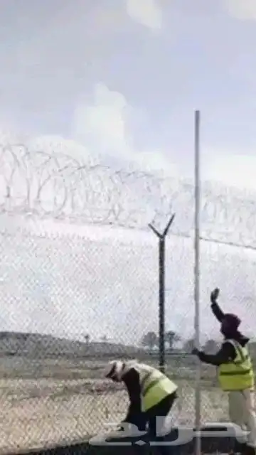 زراعه النخل وتركيب جميع انواع الشبوك 6