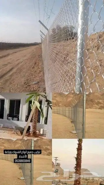 زراعه النخل وتركيب جميع انواع الشبوك 4