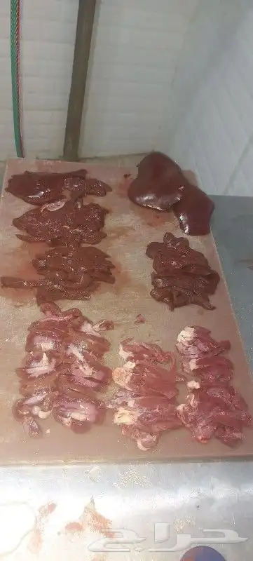 مطعم الخير يقدم خروف سيخ على الجمر 1 خروف مشوي   2   دجاج مش 5