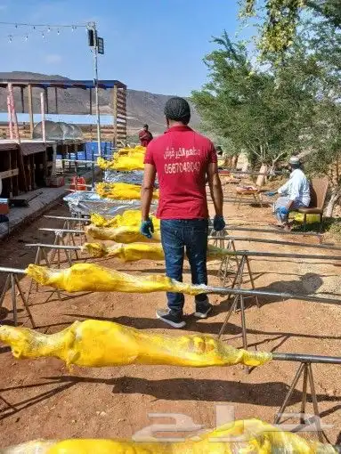 مطعم الخير يقدم خروف سيخ على الجمر 1 خروف مشوي   2   دجاج مش 7