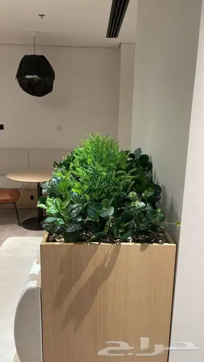 عشب صناعي وطبيعي 4