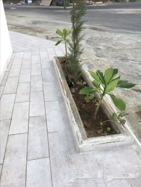 تنسيق حدائق جده ومكه 3