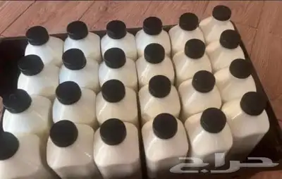 زبده غنم خاثر غنم لبن غنم قشطه غنم سمن غنم شرط 1