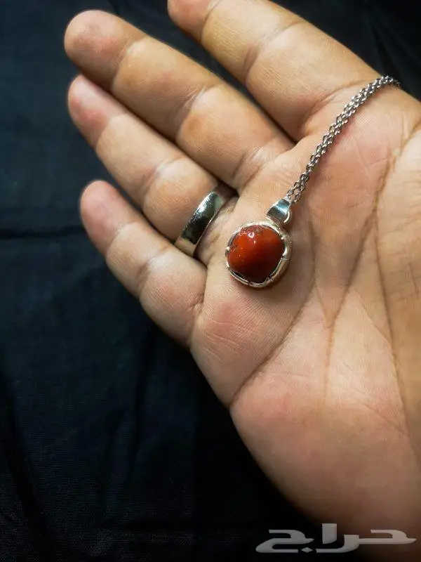 قلادة المرجان 0