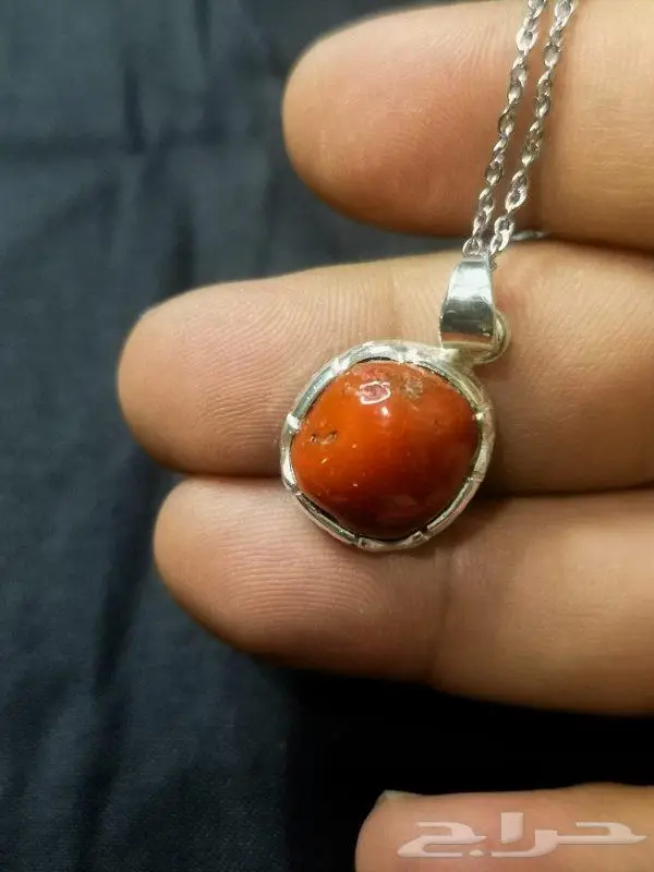 قلادة المرجان 2