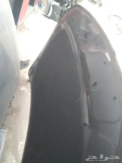 كبوت ازيرا2018  2020 4