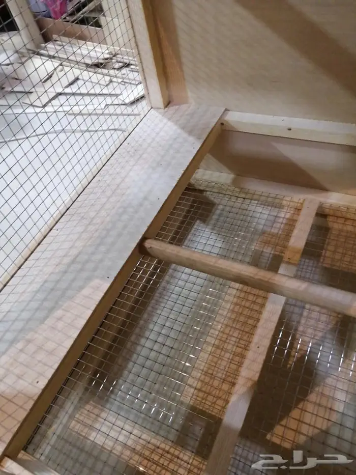 قفص طائر الدرة او الكاسكو 8