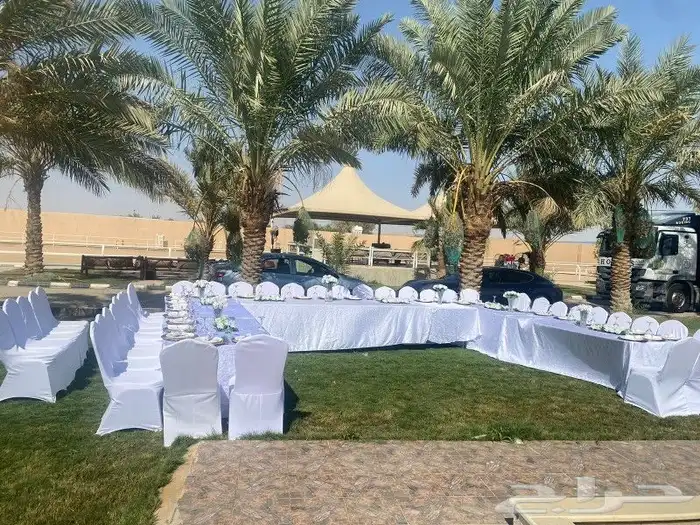 تاجير كراسي وطاولات الرياض بسعر مناسب رقم 5
